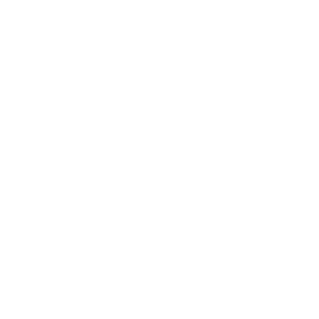 Lions International